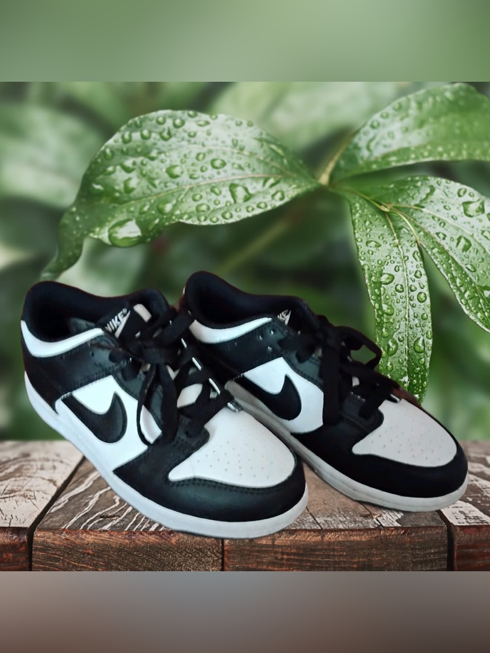 Nike Dunks Black and White Low-Top